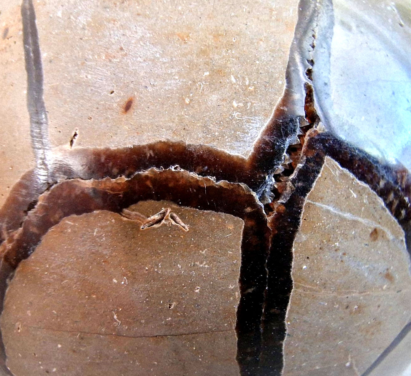 Septárie dračí vejce – detail